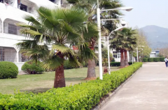 平阳县职业中等专业学校有哪些专业 
